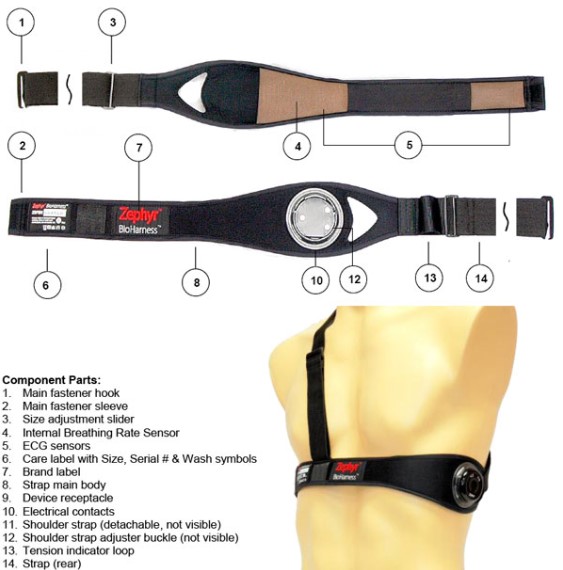 Where can I find the Documentation of the BioHarness?
