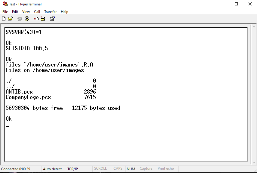 How to list the files on the printer using Direct Protocol commands?
