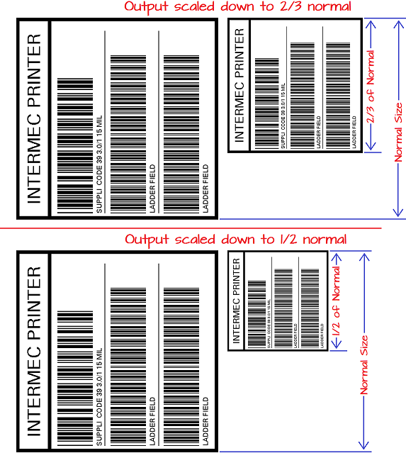 Addressing Output Scaling and Formatting Errors for Honeywell, Intermec ...
